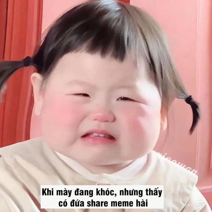 40+ ảnh meme vui nhộn và hài hước nhất 2024