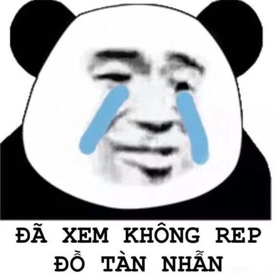 100 Dễ thương ý tưởng | meme, hài hước, ảnh chó vui nhộn