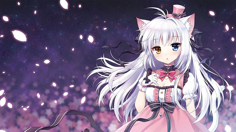 25+ Best Cute Anime Cat Girl Of All Time [Updated]