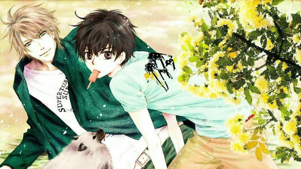 Tổng hợp 20 bộ anime đam mỹ Nhật Bản hấp dẫn và đầy cảm xúc